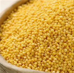 Пшено, несортовое 16551