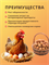 Глазовский Кладка  Layer (Несушки взрослая птица),  мешок 25 кг 16523